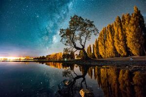Fototapeta stablo ispod zvjezdanog neba
