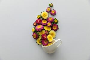Fototapeta šalica puna cvijeća