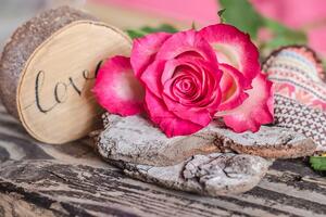 Fototapeta ruža iz ljubavi