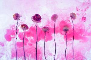 Tapeta cvijeće s ružičastom parom