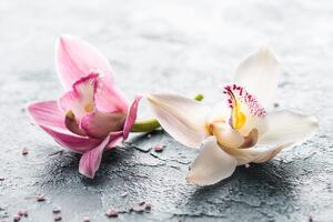 Fototapeta cvjetovi orhideje