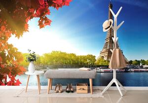 Fototapeta Pariz u jesen