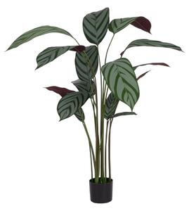 Umjetna biljka (visina 150 cm) Calathea – Ixia