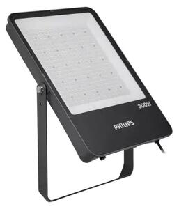BVP166 PHILIPS LED industrijski reflektor/spot (4000K) 36S/84 300W 8721103701107