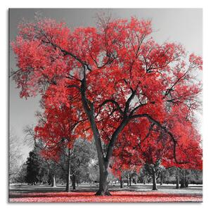 Zidni ukras Big red tree