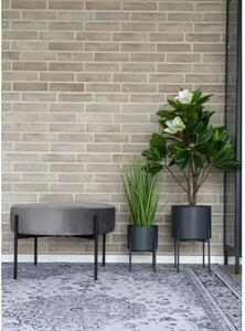 House Nordic Pavia saksije od čelika – set 2 kom, sive moderne tegle za biljke