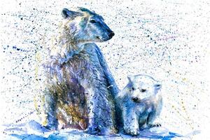 Tapeta polarni medvjedi