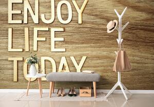 Tapeta s citatom - Enjoy life today