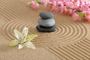 Fototapeta Zen vrt i kamenje u pijesku