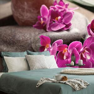 Fototapeta divna orhideja i Zen kamenje