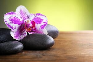 Fototapeta orhideja i crno kamenje
