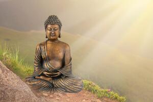 Tapeta kip Buddhe u meditacijskom položaju