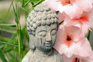 Fototapeta kip Buddhe u Zen vrtu