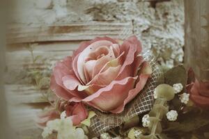 Fototapeta elegantna vintage ruža