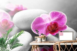 Fototapeta cvjetovi orhideje na kamenju