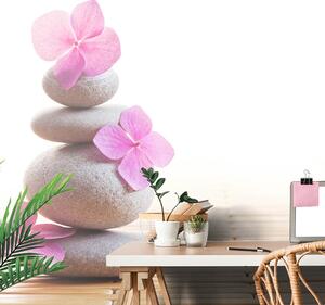 Fototapeta balans kamenja i ružičasto orijentalno cvijeće