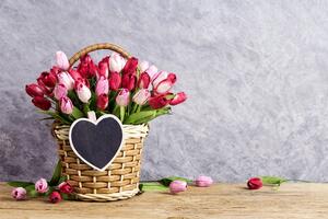 Fototapeta tulipani u drvenoj košari