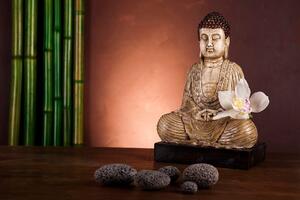 Fototapeta Buddha u meditaciji