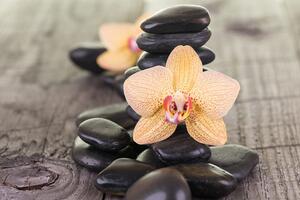 Fototapeta orhideja i Zen kamenje