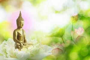Tapeta harmonija budizma