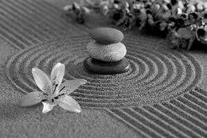 Fototapeta crno-bijeli Zen vrt