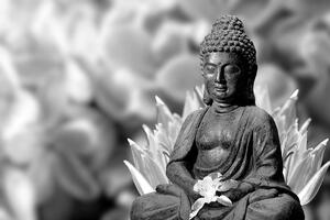 Fototapeta mirni crno-bijeli Buddha