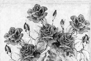 Tapeta crno-bijeli vintage buket cvijeća