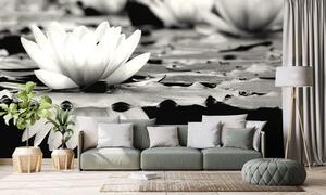 Fototapeta crno-bijeli lotosov cvijet