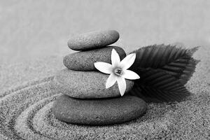 Fototapeta crno-bijelo kamenje u pijesku