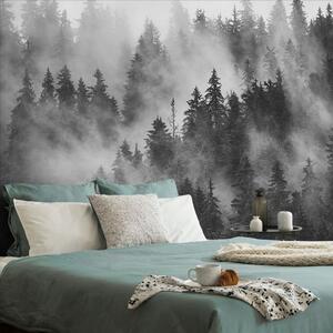 Fototapeta šuma u crno-bijeloj magli