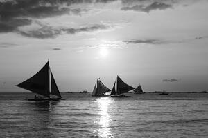 Fototapeta zalazak sunca na moru u crno-bijelom dizajnu