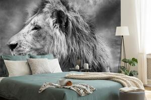 Samoljepljiva tapeta afrički lav u crno-bijelom dizajnu
