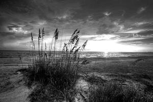 Fototapeta zalazak sunca na plaži u crno-bijelom