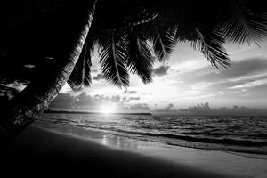 Fototapeta crno-bijela karipska plaža