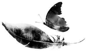 Tapeta perce s leptirom u crno-bijelom