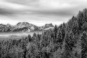 Fototapeta crno-bijele smrznute planine