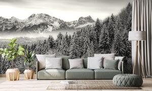 Fototapeta crno-bijele smrznute planine
