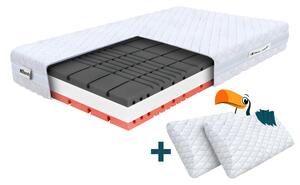 Wilsondo Pjenasti madrac s 2 jastuka Amico 140x200x22 - Navlaka Silver