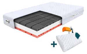 Wilsondo Pjenasti madrac s jastukom Amico 90x200x22 - Navlaka Silver