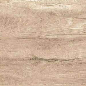Porculanska pločica Asia Ocean Wood (60 x 60 cm, Smeđe boje, Sjaj)