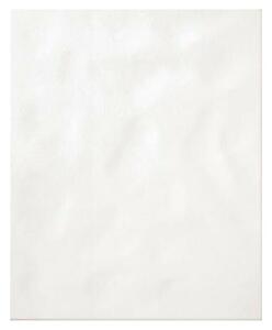 Zidna pločica (25 x 20 cm, Bijele boje, Sjaj)