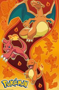 Poster Pokemon - Fire Type, (61 x 91.5 cm)