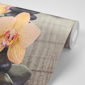 Fototapeta orhideja i Zen kamenje