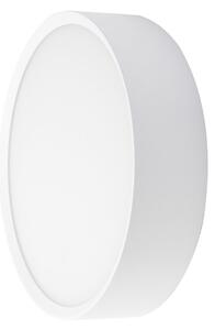 BRUMBERG EYE Open vanjska zidna LED svjetiljka, bijela, CCT, IP65, Bijela, Područje hodnika, Aluminij