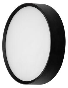 BRUMBERG EYE Open vanjska zidna LED svjetiljka, crna, CCT, IP65, Crno, Područje hodnika, Aluminij