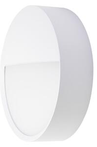 BRUMBERG EYE LED vanjska zidna svjetiljka, poluotvorena, bijela, CCT, IP65, Bijela, Područje hodnika, Aluminij