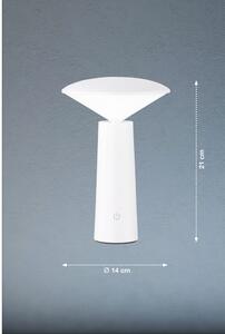 LED prigušiva vanjska svjetiljka sa senzorom pokreta ø 14 cm Pinto - Fischer & Honsel