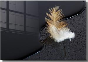 Staklena slika 100x70 cm Feather - Wallity