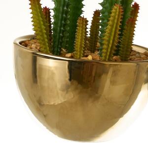 Umjetne biljke u setu 4 kom Cactus – Casa Selección