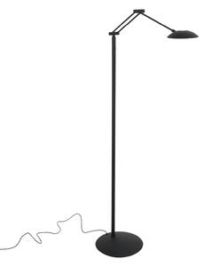 Steinhauer Daphne 2 LED podna lampa, jednostruka žarulja, crna, CCT, daljinski upravljač, prigušiva, Crno, Dnevni boravak/blagovaonica, Metal